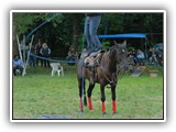img00047