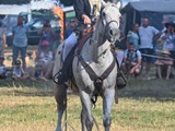 Westernový den Vochtánka (172)